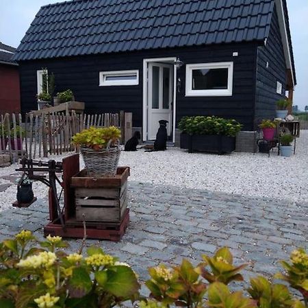 Wellness Chalet Met Jacuzzi, Sauna, Omheinde Tuin, Sint-Annaland Extérieur photo