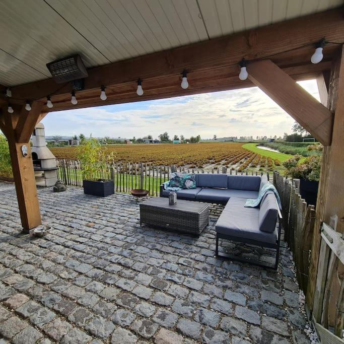 Wellness Chalet Met Jacuzzi, Sauna, Omheinde Tuin, Sint-Annaland Extérieur photo