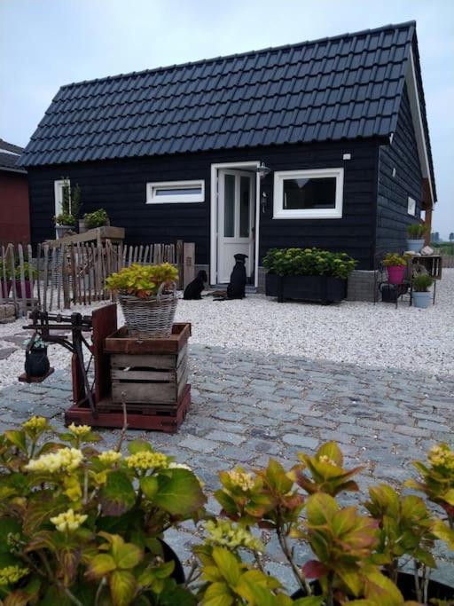 Wellness Chalet Met Jacuzzi, Sauna, Omheinde Tuin, Sint-Annaland Extérieur photo