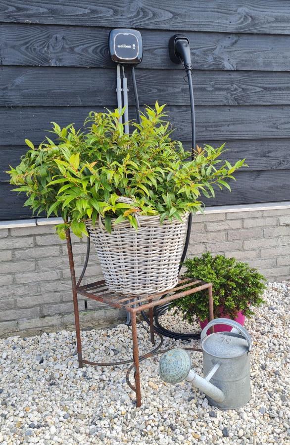Wellness Chalet Met Jacuzzi, Sauna, Omheinde Tuin, Sint-Annaland Extérieur photo