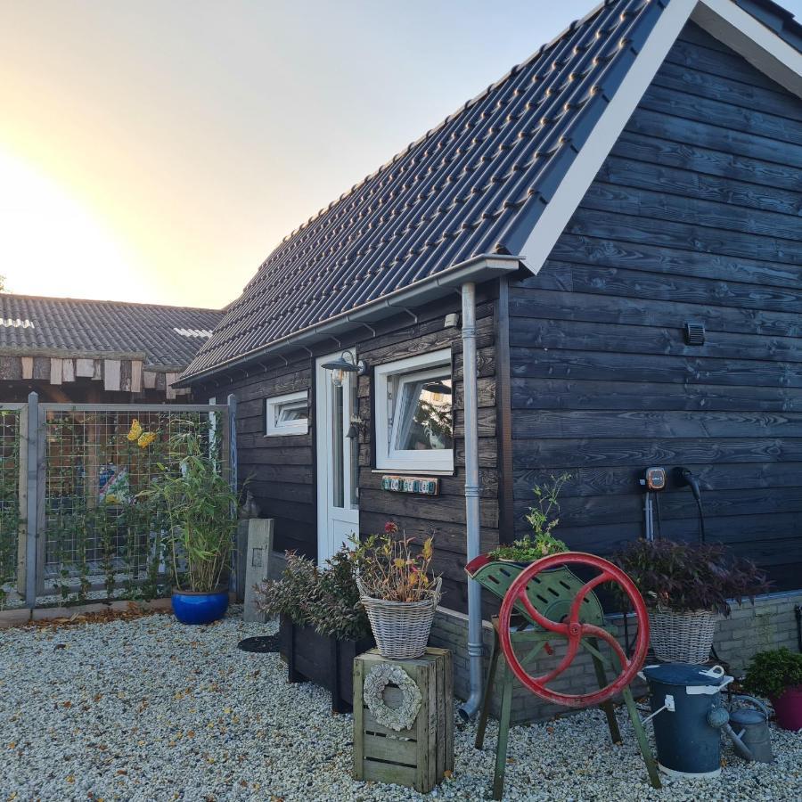 Wellness Chalet Met Jacuzzi, Sauna, Omheinde Tuin, Sint-Annaland Extérieur photo