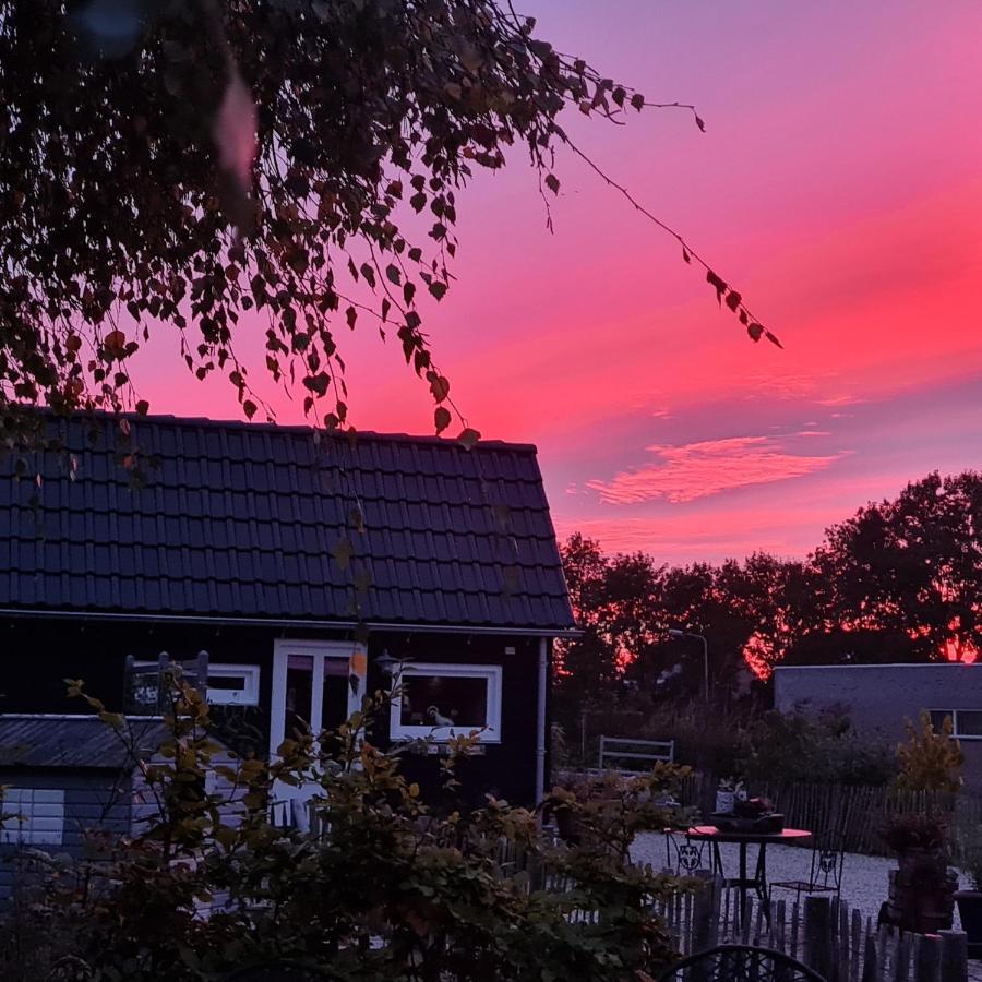 Wellness Chalet Met Jacuzzi, Sauna, Omheinde Tuin, Sint-Annaland Extérieur photo